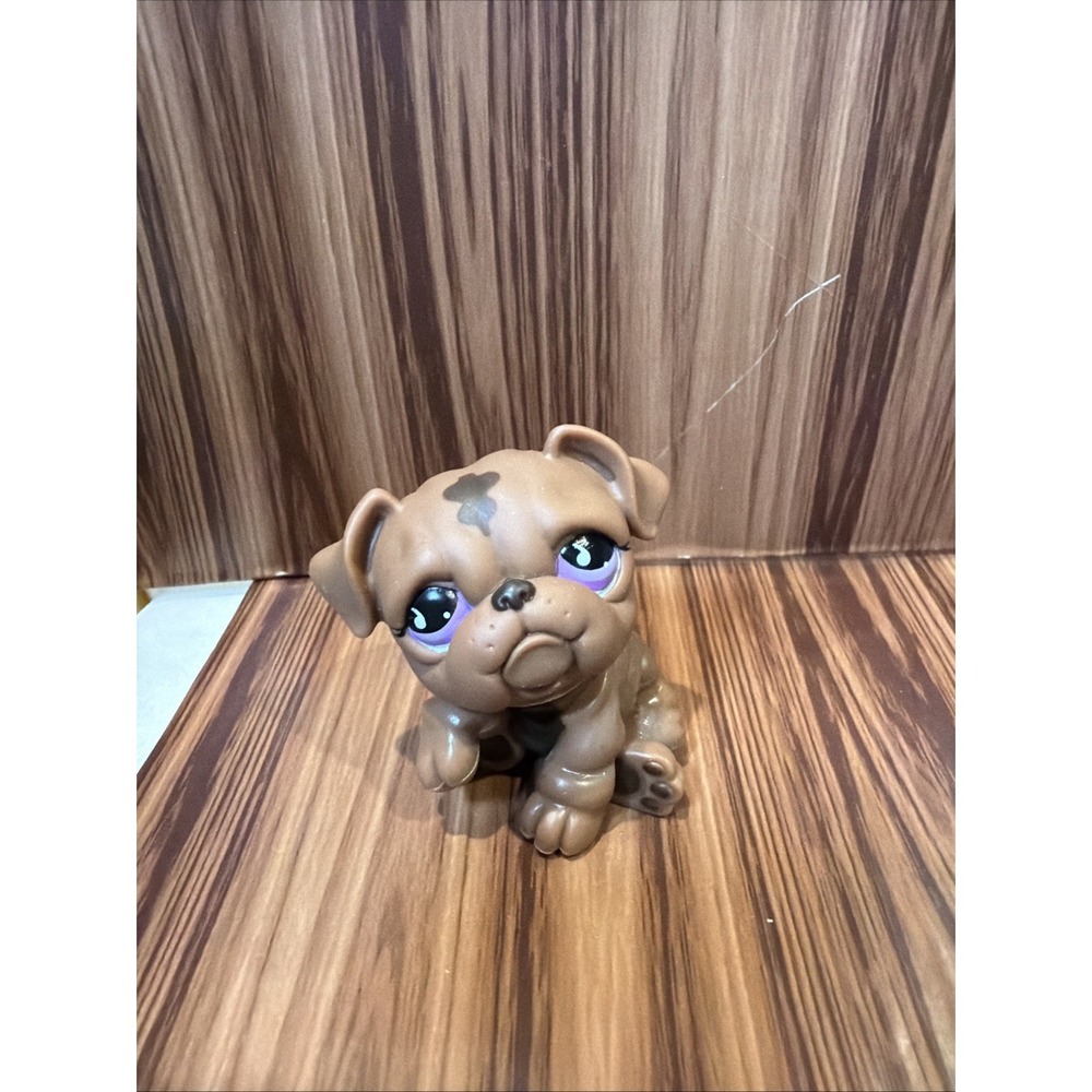Littlest Pet Shop LPS retired Bulldog #881 brown with purple eyes Hasbro